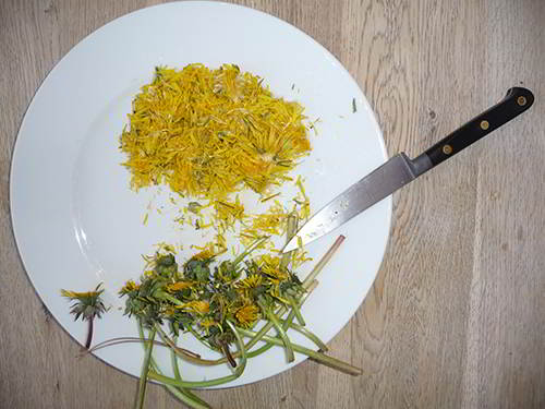 How to Make Dandelion Bread