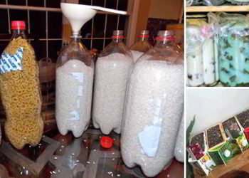 30 Smart Ways to Reuse Things That You Usually Throw Away