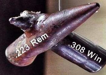 remington vs winchester