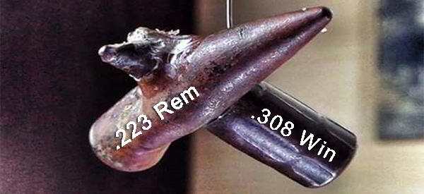 remington vs winchester