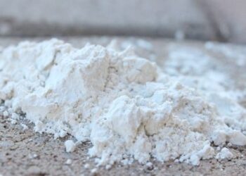 18 Reasons to Stock Diatomaceous Earth for Survival