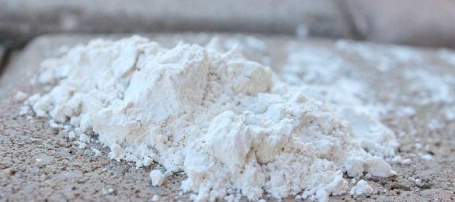 18 Reasons To Stock Diatomaceous Earth For Survival Ask A Prepper 18 Reasons To Stock Diatomaceous Earth For Survival