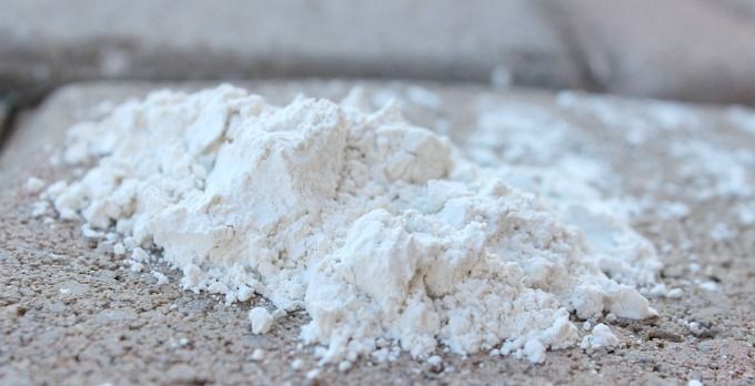 18 Reasons to Stock Diatomaceous Earth for Survival