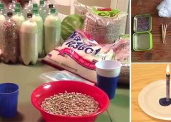 23 Things a Prepper Should Never Throw Away
