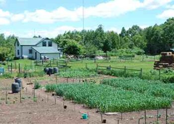 How To Make Money Off Grid Making A Living From Your Homestead farm