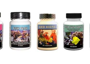 This is How YOU Can Use Veterinary Drugs Post-SHTF