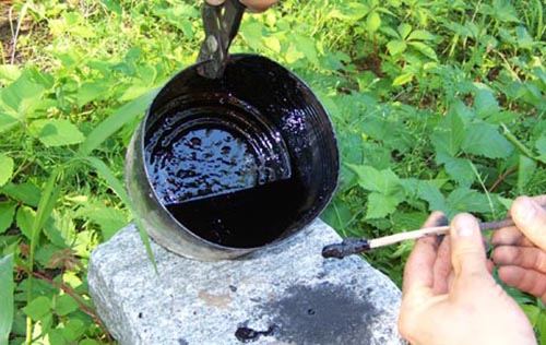10. birchtarstick How To Make Fuel From Birch Tar