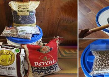 $20 Survival Food Bucket