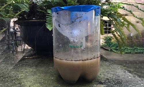 DIY Mosquito Trap