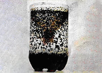 DIY Mosquito Trap That Really Works!