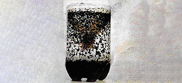 DIY Mosquito Trap That Really Works!