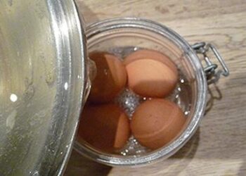How to Keeps Eggs Fresh for an Year with Isinglass