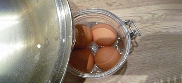 How to Keeps Eggs Fresh for an Year with Isinglass