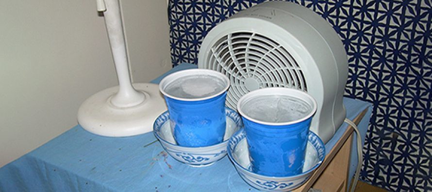 Staying Cool-Solutions and Ideas When There is NO Power 13-Ways-To-Keep-Your-House-Cool-In-The-Summer-890x395_c