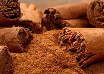 Cinnamon primary pic