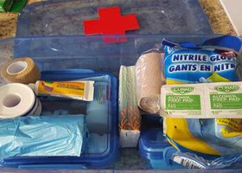DIY Dollar Store First Aid Kit