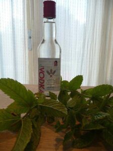 does peppermint oil repel bugs does peppermint oil repel bugs