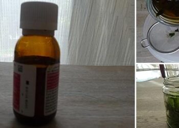 How To Make Peppermint Oil – the Natural Insect Repellent Cover