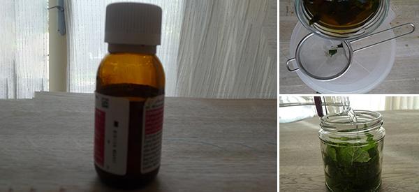 How To Make Peppermint Oil – the Natural Insect Repellent Cover