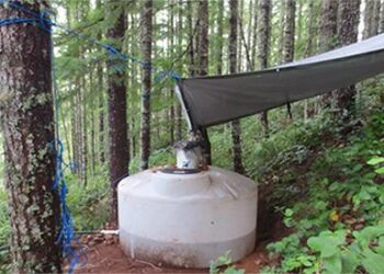 Is Harvesting Rain Water Illegal in Your State?