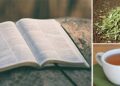 This 3500-Year-Old Powerful & Natural Cure Found in The Bible Treats So Many Diseases