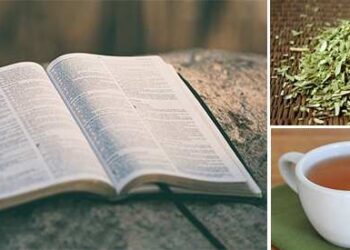 This 3500-Year-Old Powerful & Natural Cure Found in The Bible Treats So Many Diseases