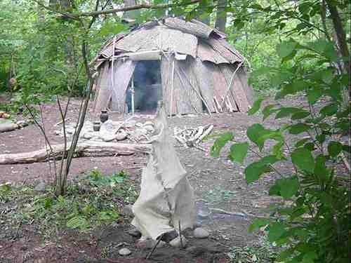 basswood shelter