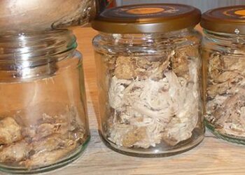 how to can pulled porc