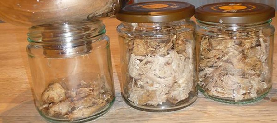 Government Canned Pork Recipes | Sante Blog