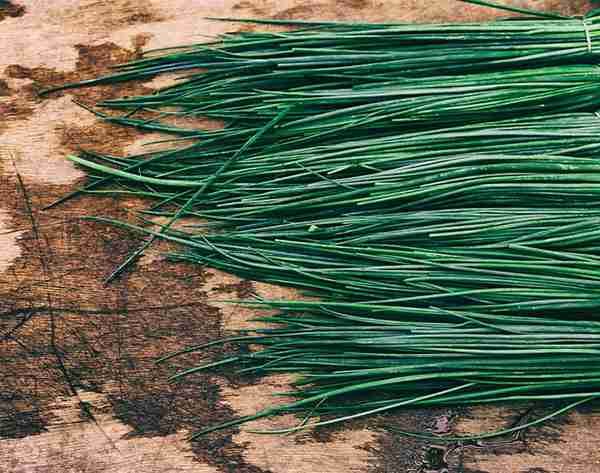 chives