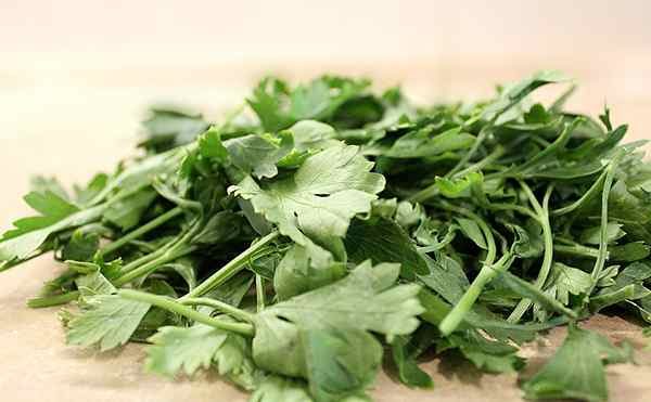 parsley