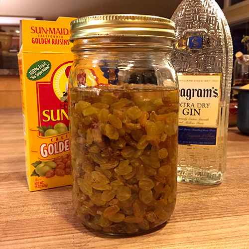 raisins in gin