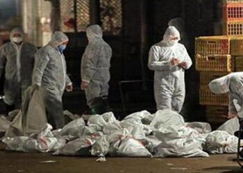 30 Supplies for Pandemic Survival