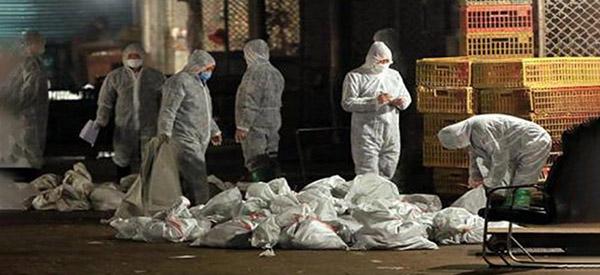 30 Supplies for Pandemic Survival