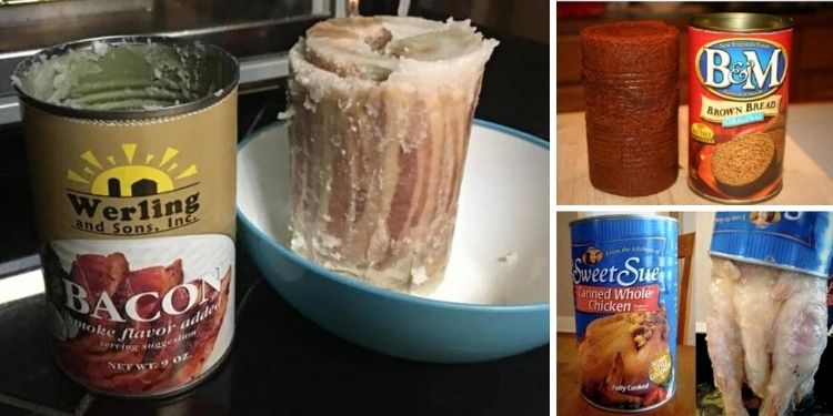 14 Must-Have Canned Foods You Didn’t Know Existed