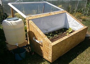 DIY Mini Greenhouse For Year-Round Vegetables