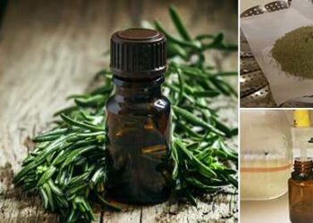 How To Make Tea-Tree-Oil-Keeper-of-the-Home