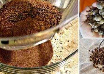 how to make acorn flour