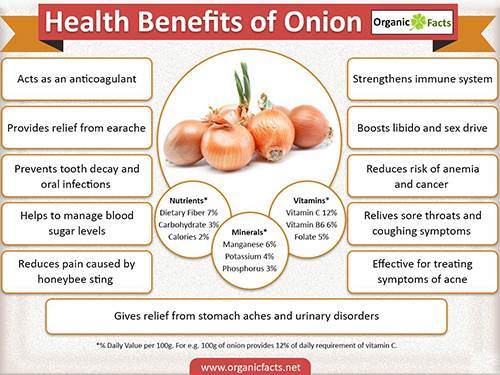 onioninfographic