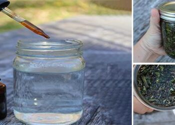How To Make Herbal Tinctures