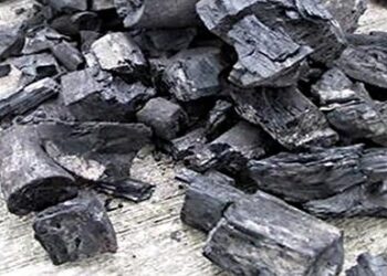 Making Activated Charcoal What Did You Do To Prep This Week