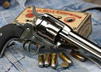 Top 6 Popular Types of Guns Not Suitable for SHTF