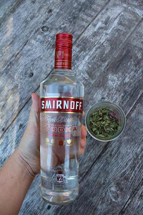 Vodka and Herbs