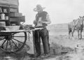 What Plants Cowboys Ate in the West