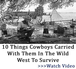 banner cowboys tlw 2