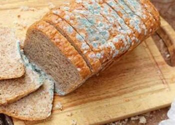 Cheap Foods To Stockpile That People Usually Throw Away