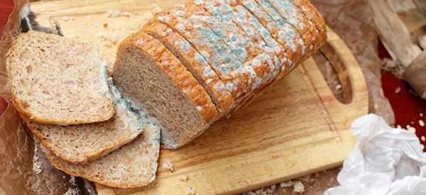Cheap Foods To Stockpile That People Usually Throw Away