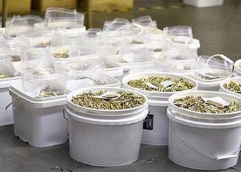 Frugal Prepping How to Get Cheap and Reliable Ammo For SHTF