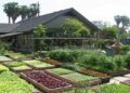 Mini-Farming on 1 Acre