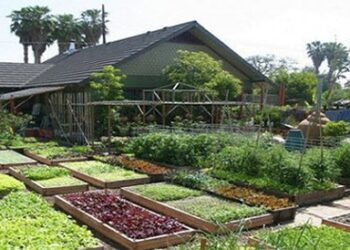 Mini-Farming on 1 Acre